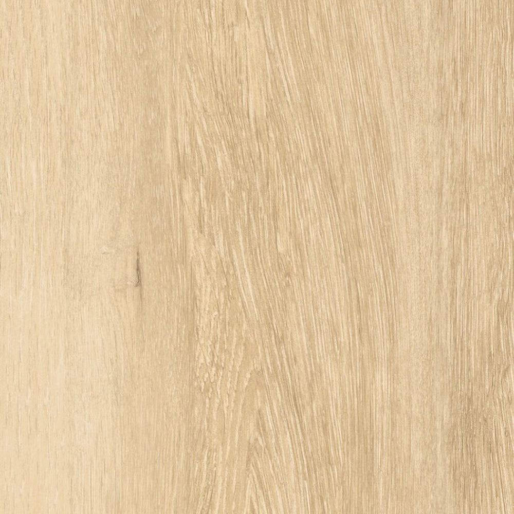 costa large atelier natural