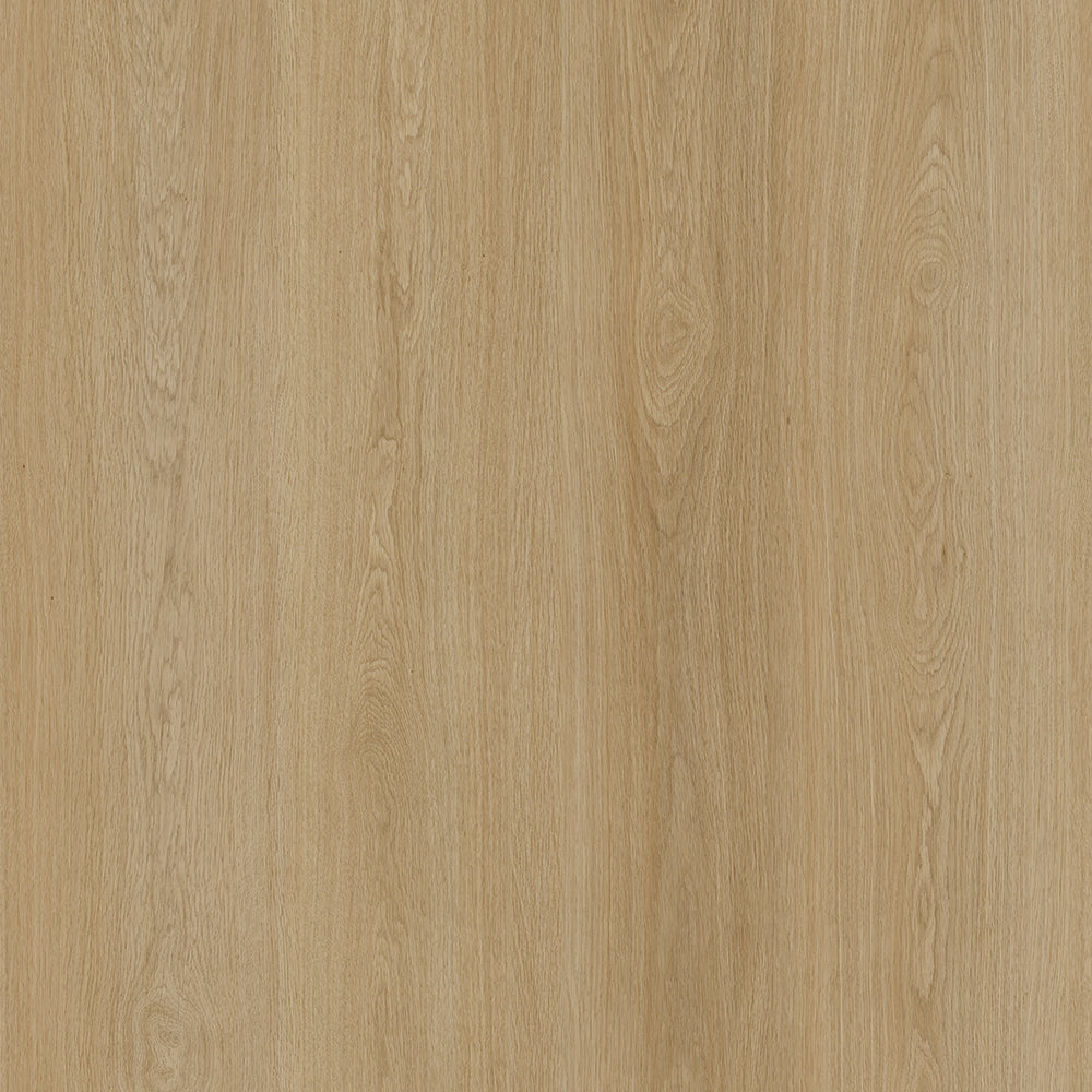 dryback dawn plank