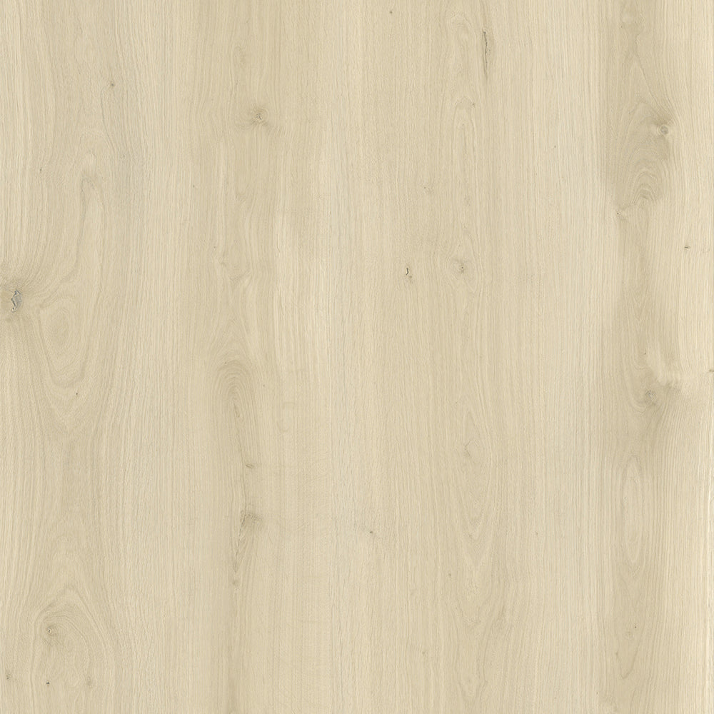 dryback pearl plank
