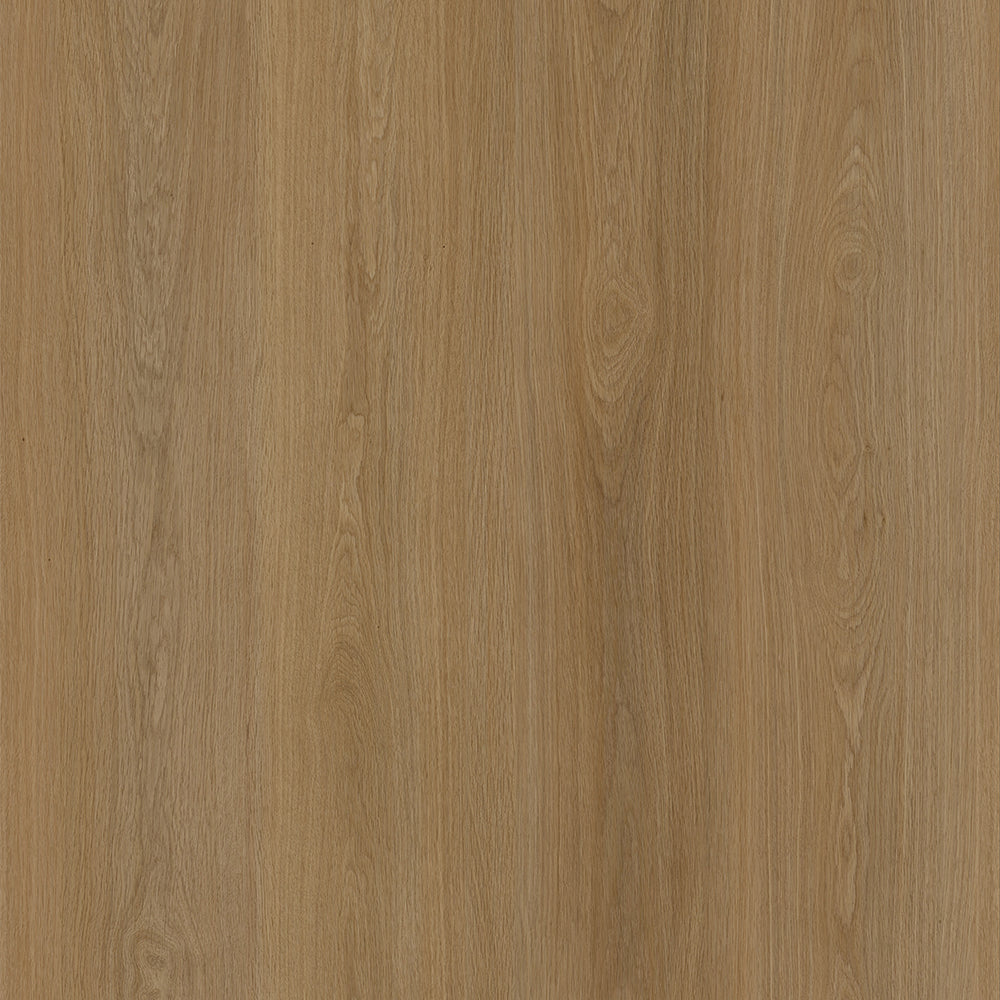 dryback sedona plank