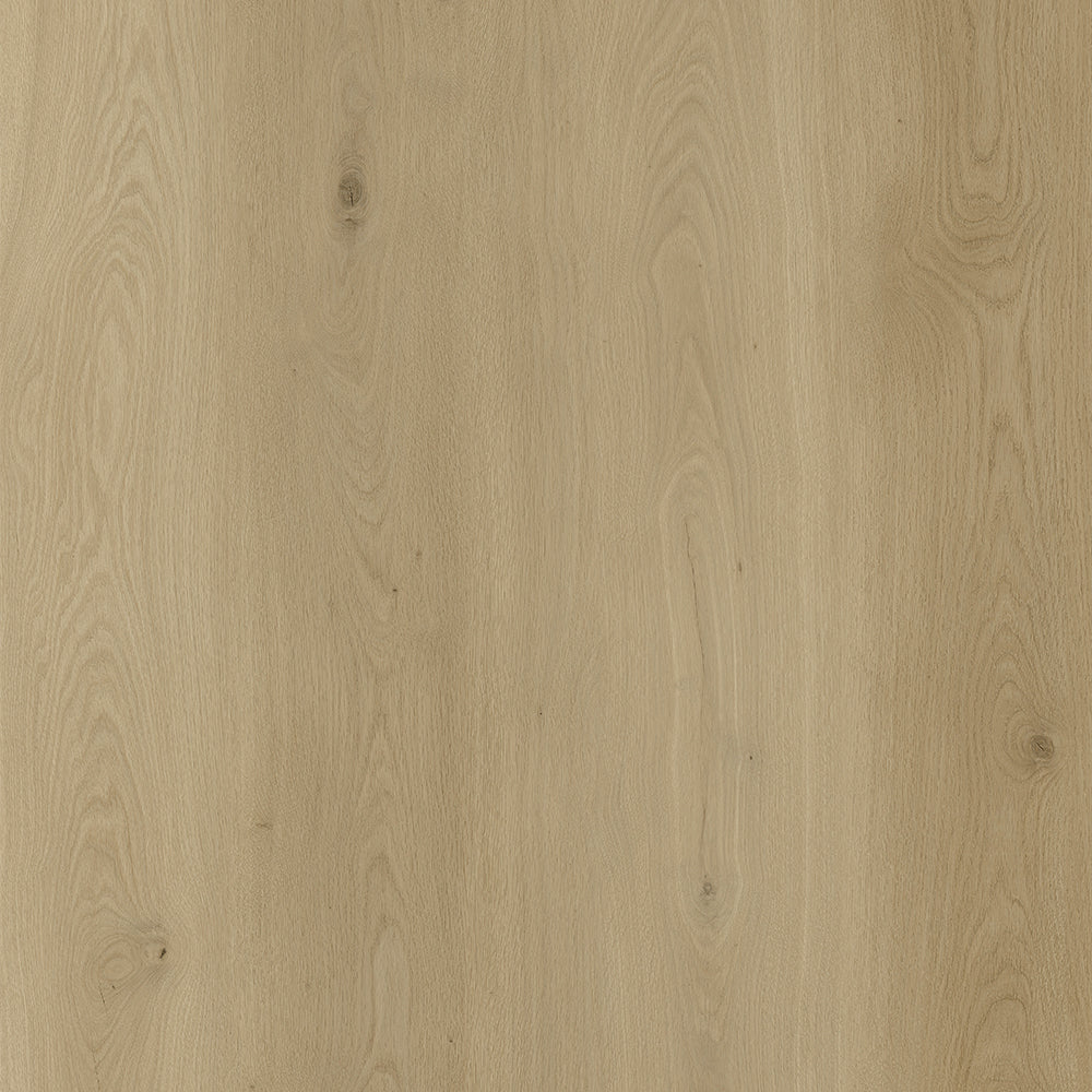 dryback sierra plank