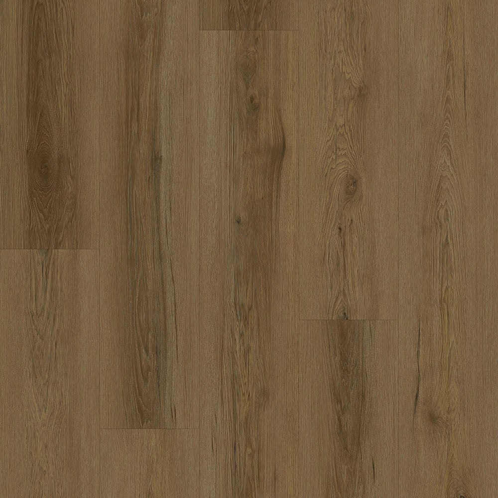 force autumn bark plank