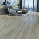 laguna silver shell roomscene
