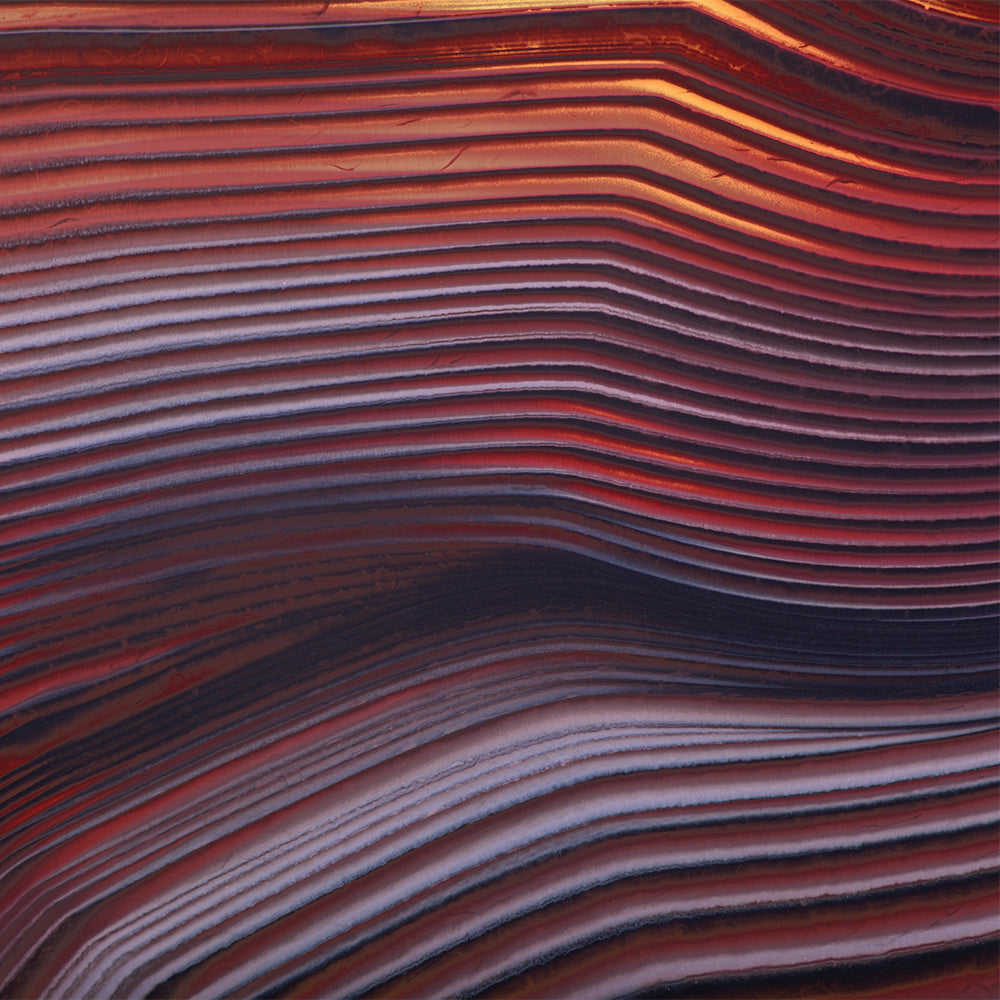 timber max texture