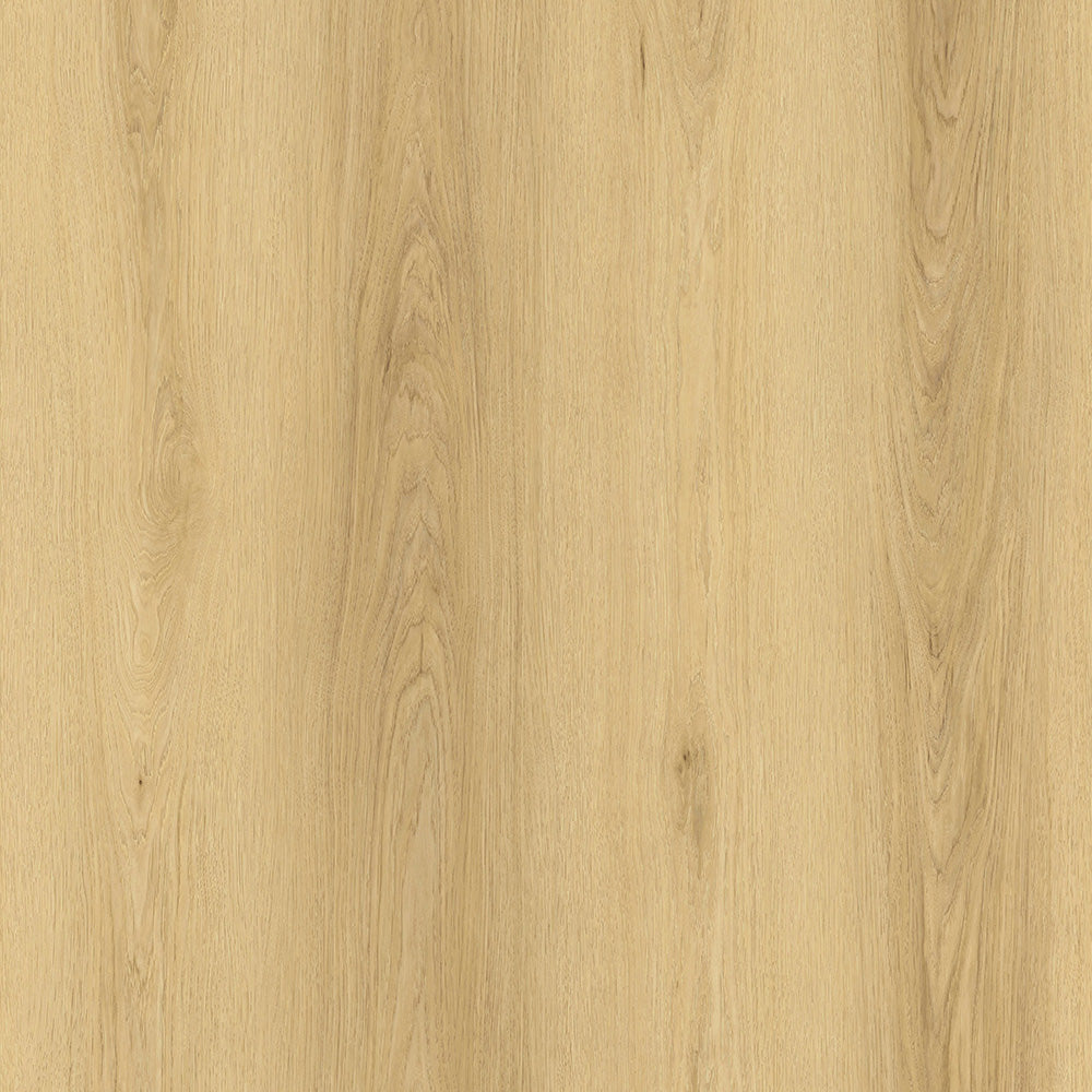 dryback blone