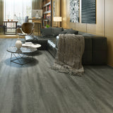 Oyster Gray