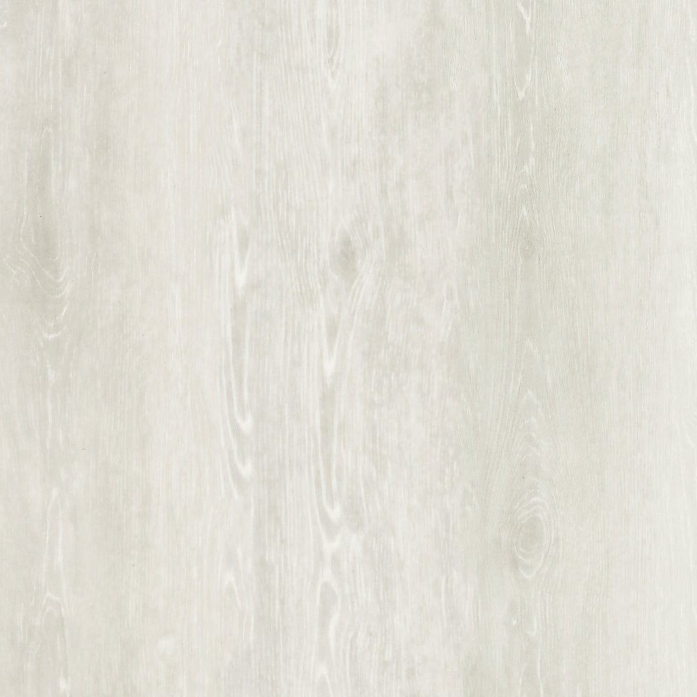 Roman White - XPR Architect