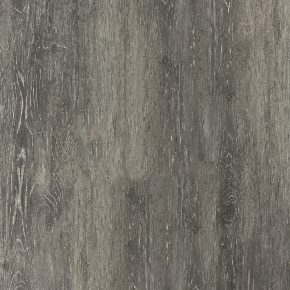 Victorian Ash