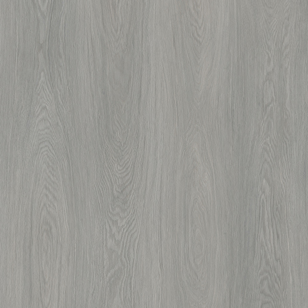 Braga Gray - XPR Standard Wide