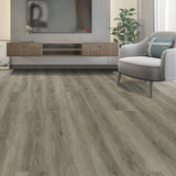 Aluminum Gray