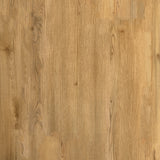 Quantum Brown