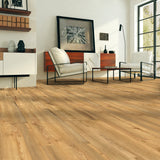 Quantum Brown