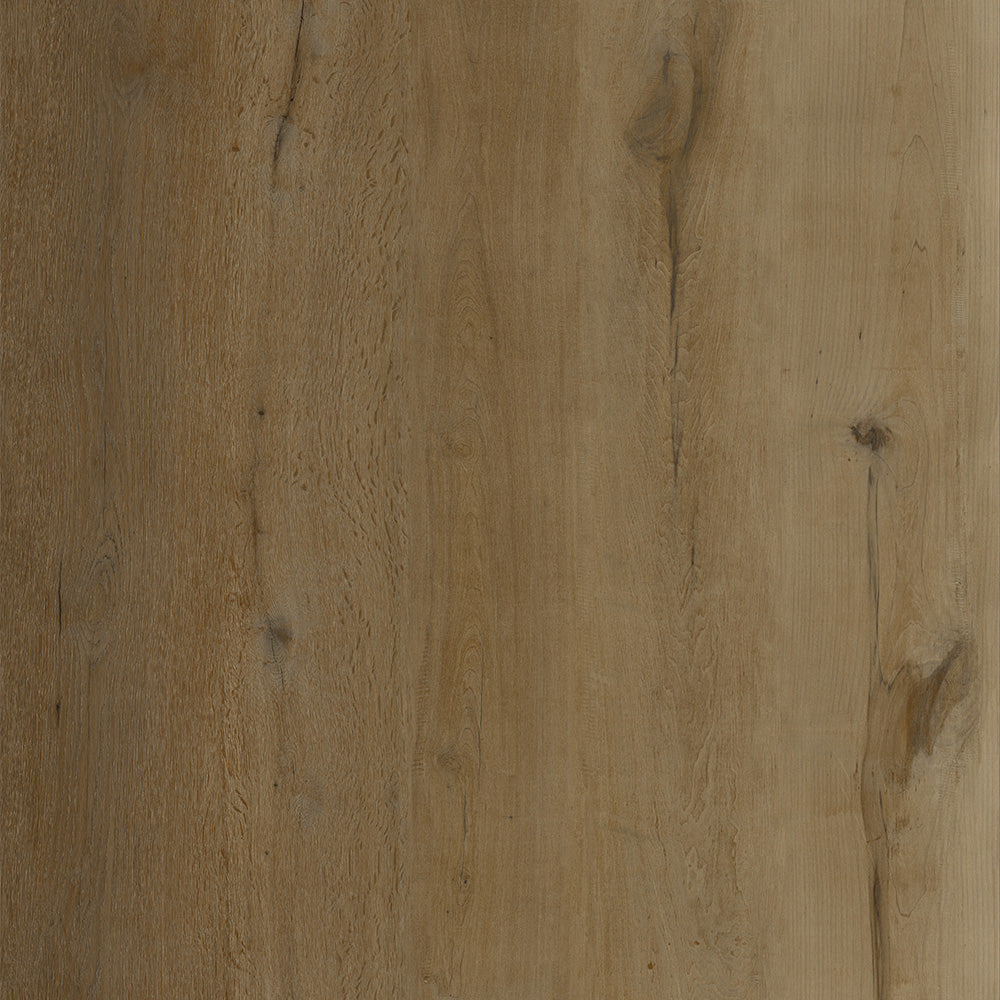 Wheat - XPL Organics