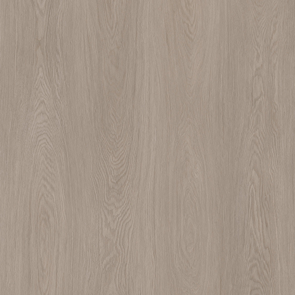 Porto Brown - XPR Standard Wide
