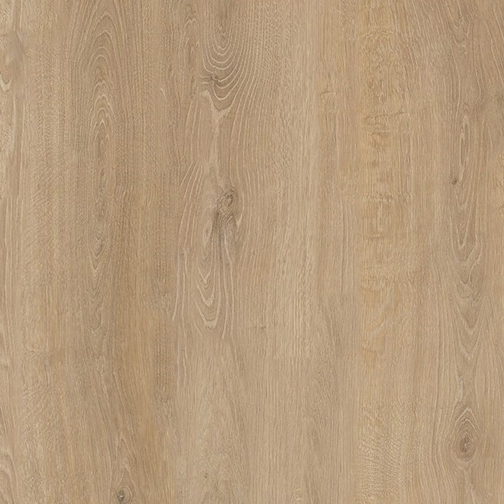 Basel Oak
