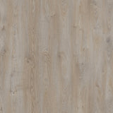 Alpine Alder